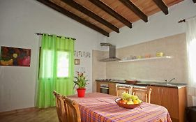 casa david